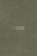 Ковролин AW Masquerade Mezza 29 фото 1 | FLOORDEALER